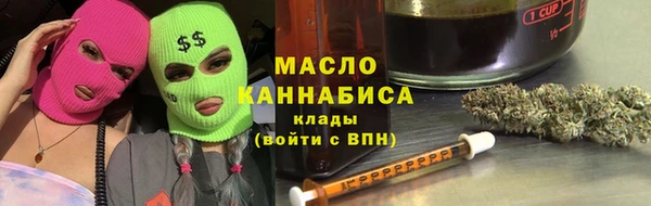 сатива Горняк