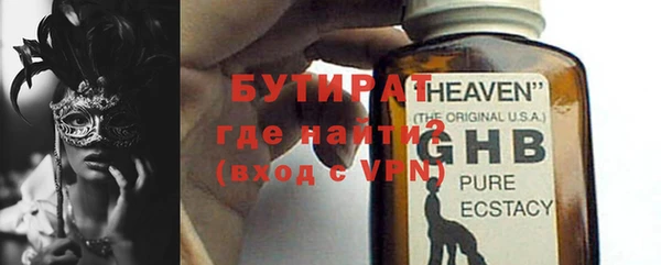 сатива Горняк