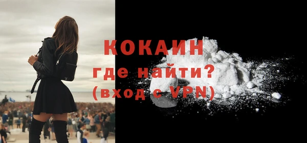 сатива Горняк