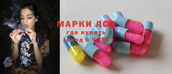 сатива Горняк
