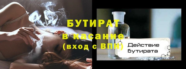 сатива Горняк