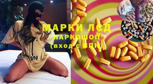 сатива Горняк