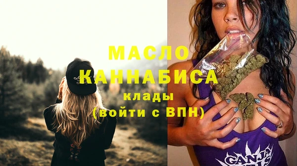 сатива Горняк