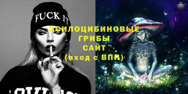 сатива Горняк