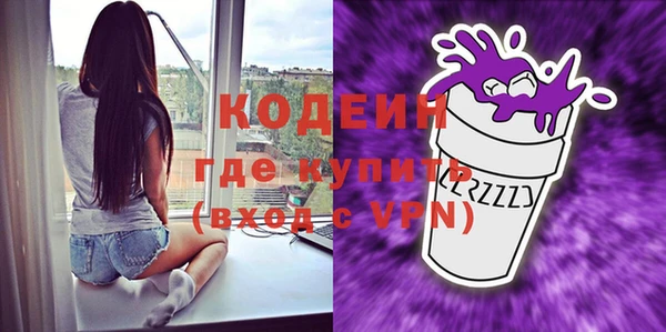 apvp Галич