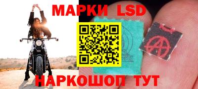 прущие крисы Гатчина