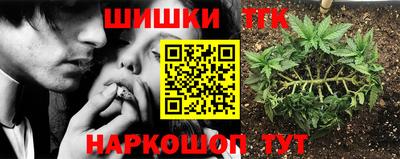 прущие крисы Гатчина