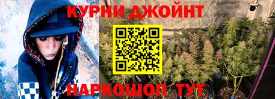 прущие крисы Гатчина