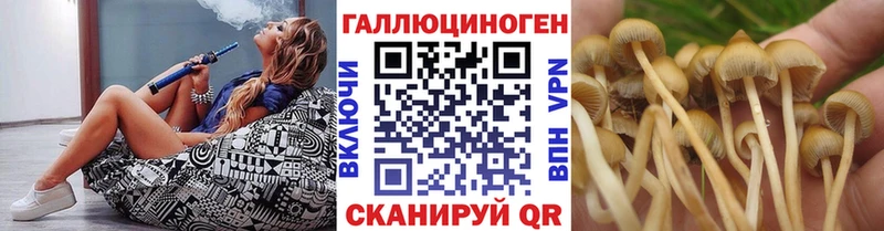 darknet наркотические препараты  закладка  Ишимбай  Псилоцибиновые грибы MAGIC MUSHROOMS  omg как зайти 