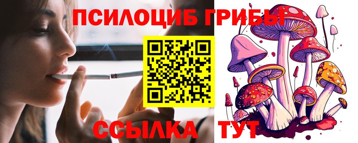 Псилоцибиновые грибы GOLDEN TEACHER Ишимбай